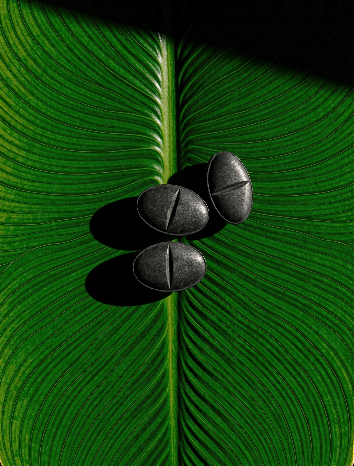 Botanical Vitality